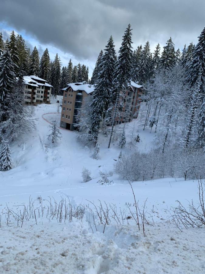 Evrika Home 19 Pamporovo Buitenkant foto